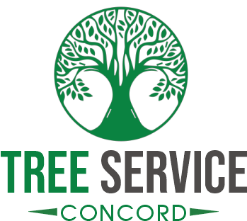 #1 Tree Service Concord CA- Tree Removal- Trimming- Call Us!